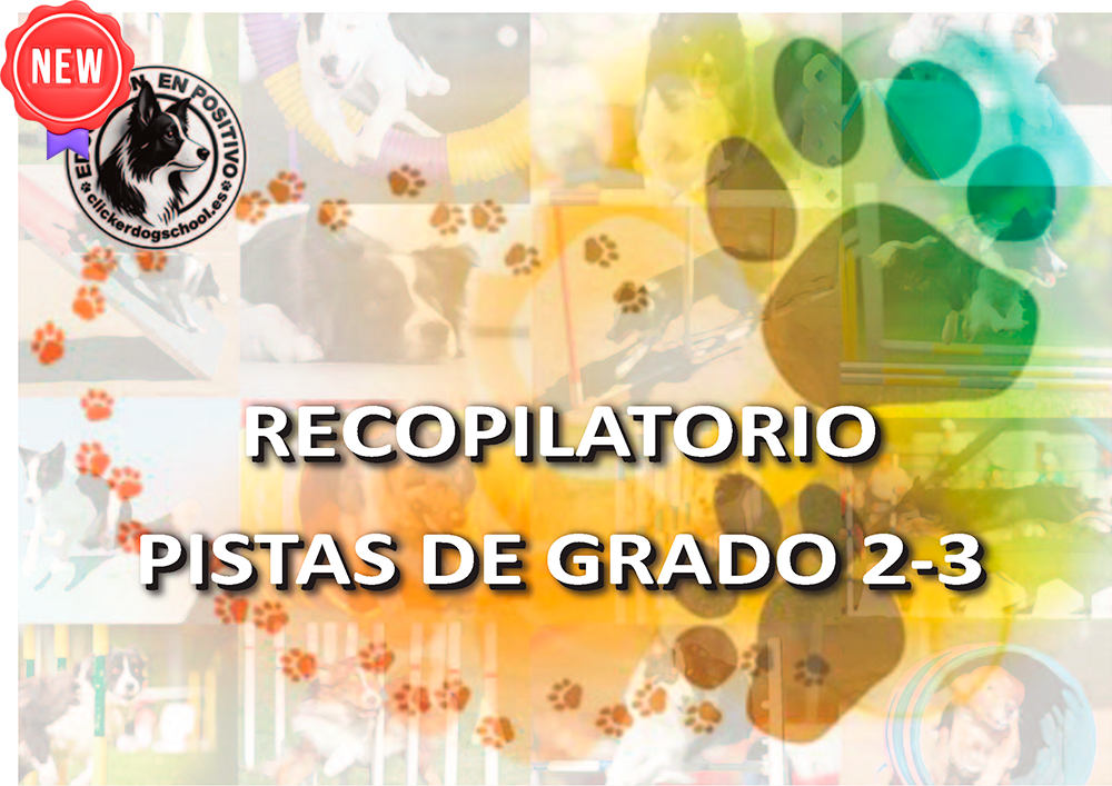 PISTAS NUEVAS 2025 G3 conv 1